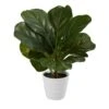 Lifelike 11-in Faux Fiddle Leaf Fig – Perfect Indoor Greenery -Eds Plant Shop lifelike 11 faux fiddle leaf fig perfect indoor greenery 276869