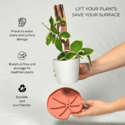 Lili Saucer – Stylish Lily Pad Plant Saucer For Drainage, Root Rot Prevention & Humidity 15 Lili Saucer – Stylish Lily Pad Plant Saucer For Drainage, Root Rot Prevention & Humidity -Eds Plant Shop lili saucer stylish lily pad plant saucer for drainage root rot prevention humidity 3707989