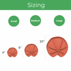 Lili Saucer – Stylish Lily Pad Plant Saucer For Drainage, Root Rot Prevention & Humidity 19 Lili Saucer – Stylish Lily Pad Plant Saucer For Drainage, Root Rot Prevention & Humidity -Eds Plant Shop lili saucer stylish lily pad plant saucer for drainage root rot prevention humidity 7236348