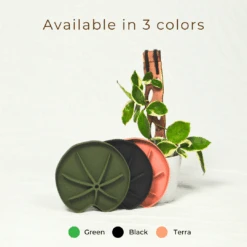 Lili Saucer – Stylish Lily Pad Plant Saucer For Drainage, Root Rot Prevention & Humidity 17 Lili Saucer – Stylish Lily Pad Plant Saucer For Drainage, Root Rot Prevention & Humidity -Eds Plant Shop lili saucer stylish lily pad plant saucer for drainage root rot prevention humidity 7572538