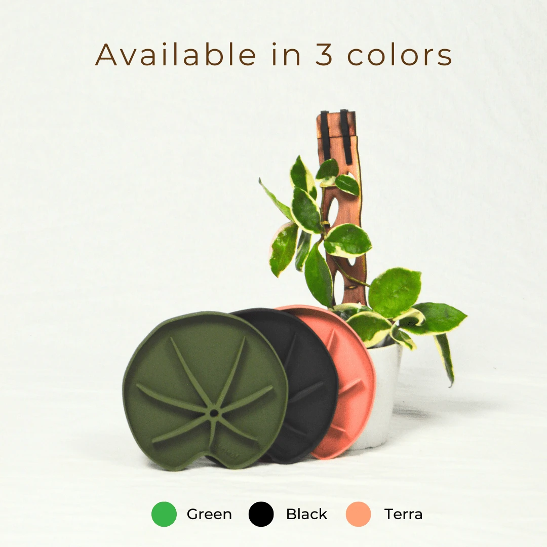 Lili Saucer – Stylish Lily Pad Plant Saucer For Drainage, Root Rot Prevention & Humidity 9 Lili Saucer – Stylish Lily Pad Plant Saucer For Drainage, Root Rot Prevention & Humidity - Image 7