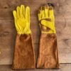 Long Garden Gloves – Rose & Thorn Pruning Gloves (Soft Cowhide) -Eds Plant Shop long garden gloves rose thorn pruning gloves soft cowhide 249545