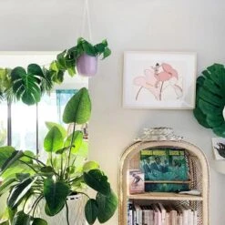 Loop Hanging Planter – Indigo | Leak-Proof, 360° Drainage & Deep Color Accent -Eds Plant Shop loop hanging planter 549522