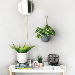 Loop Hanging Planter – Indigo | Leak-Proof, 360° Drainage & Deep Color Accent -Eds Plant Shop loop hanging planter 766499