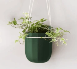 Loop Hanging Planter In Forest – Leak-Proof, 360° Drainage Hanging Pot -Eds Plant Shop loop hanging planter in forest leak proof 3600 drainage hanging pot 7344085