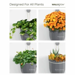 Loop Hanging Planter – Mustard | Self-Watering, Leak-Proof & Bold -Eds Plant Shop loop hanging planter mustard self watering leak proof bold 348581