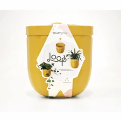 Loop Hanging Planter – Mustard | Self-Watering, Leak-Proof & Bold -Eds Plant Shop loop hanging planter mustard self watering leak proof bold 587560