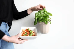 Loop Hanging Planter – Oat | Leak-Proof, 360°-Drainage & Minimalist -Eds Plant Shop loop hanging planter oat leak proof 3600 drainage minimalist 569815