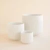 Lucy Planter | White -Eds Plant Shop lucy planter white 191154