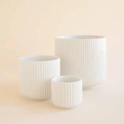 Lucy Planter | White