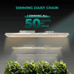 Mars Hydro TSL 2000 300W Dimmable Full Spectrum LED Grow Light | High-Efficiency Lighting -Eds Plant Shop mars hydro tsl 2000 300w dimmable full spectrum led grow light high efficiency lighting 400992