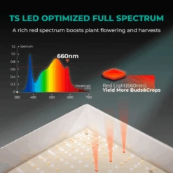 Mars Hydro TSL 2000 300W Dimmable Full Spectrum LED Grow Light | High-Efficiency Lighting -Eds Plant Shop mars hydro tsl 2000 300w dimmable full spectrum led grow light high efficiency lighting 646896