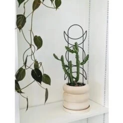 Metal Moon Phase Trellis -Eds Plant Shop metal moon phase trellis 390073