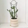 Metal Moon Phase Trellis -Eds Plant Shop metal moon phase trellis 975201