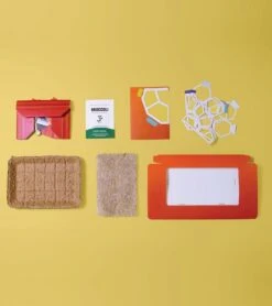 Microgreens Pop-Up Kit -Eds Plant Shop microgreens pop up kit 413964