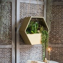 Modern Gold Hexagon Hanging Planter -Eds Plant Shop modern gold hexagon hanging planter 152398