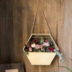 Modern Gold Hexagon Hanging Planter -Eds Plant Shop modern gold hexagon hanging planter 666821