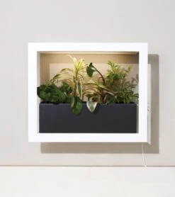 Modern Sprout Black And White Planter Box | Holds Three 4" Plants -Eds Plant Shop modern sprout black and white planter box holds three 4 plants 458061