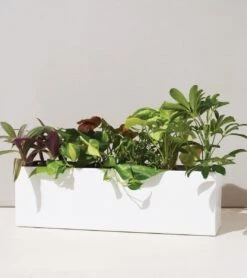 Modern Sprout Black And White Planter Box | Holds Three 4" Plants