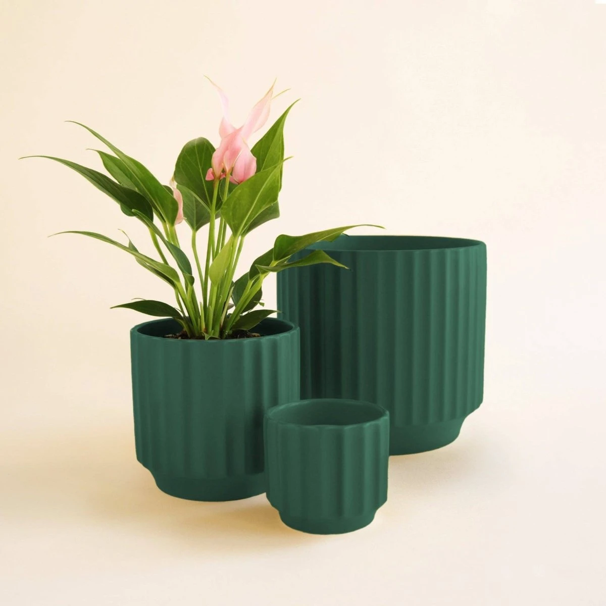 Monroe Planter | Rainforest 3 Monroe Planter | Rainforest