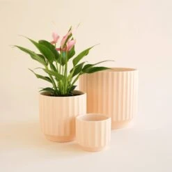 Monroe Planter | Vanilla -Eds Plant Shop monroe planter vanilla 421223