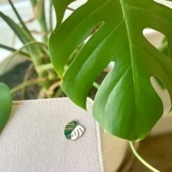 Monstera Leaf Pin -Eds Plant Shop monstera leaf pin 684391