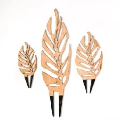 Monstrella - Monstera Plant Support & Trellis 21 Monstrella - Monstera Plant Support & Trellis -Eds Plant Shop monstrella monstera plant support trellis 335890