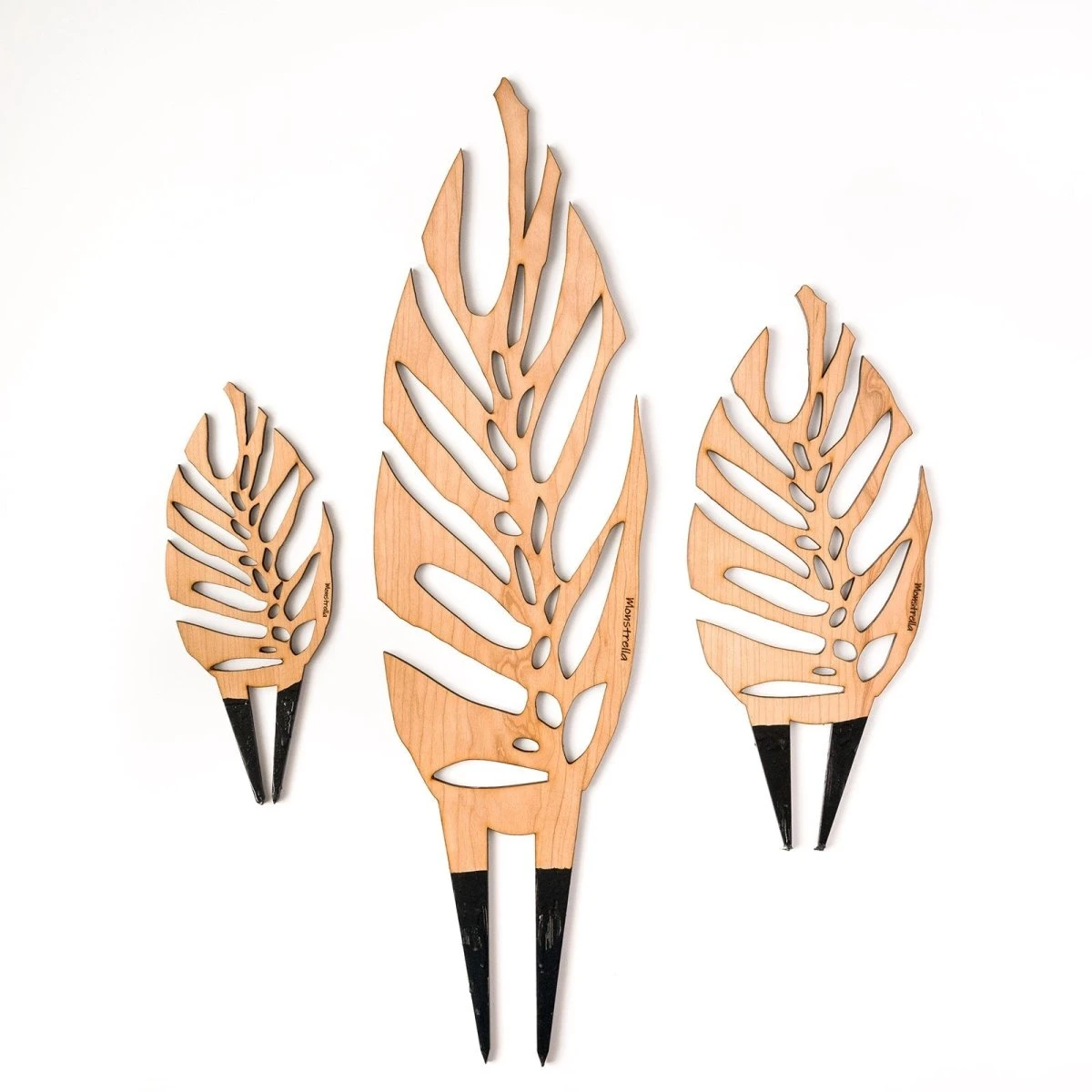 Monstrella - Monstera Plant Support & Trellis 11 Monstrella - Monstera Plant Support & Trellis - Image 9