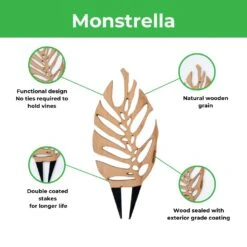 Monstrella - Monstera Plant Support & Trellis 16 Monstrella - Monstera Plant Support & Trellis -Eds Plant Shop monstrella monstera plant support trellis 834491