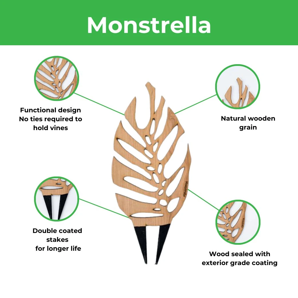 Monstrella - Monstera Plant Support & Trellis 6 Monstrella - Monstera Plant Support & Trellis - Image 4