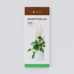 Monstrella - Monstera Plant Support & Trellis 18 Monstrella - Monstera Plant Support & Trellis -Eds Plant Shop monstrella monstera plant support trellis 972454