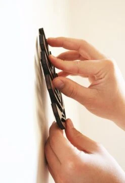 Monstrella - Wall Mounted Plant Support For Climbing Vines -Eds Plant Shop monstrella wall mounted plant support for climbing vines 256571