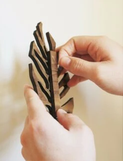 Monstrella - Wall Mounted Plant Support For Climbing Vines -Eds Plant Shop monstrella wall mounted plant support for climbing vines 580747