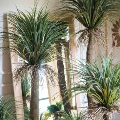 Moroccan Artificial Palm Tree In Pot | Handmade Silk Palm Tree For Indoor Decor -Eds Plant Shop moroccan artificial palm tree in pot 122369