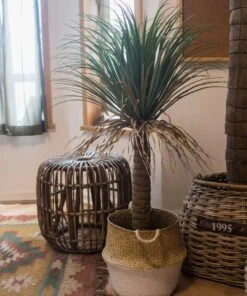 Moroccan Artificial Palm Tree In Pot | Handmade Silk Palm Tree For Indoor Decor -Eds Plant Shop moroccan artificial palm tree in pot 212589