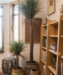 Moroccan Artificial Palm Tree In Pot | Handmade Silk Palm Tree For Indoor Decor -Eds Plant Shop moroccan artificial palm tree in pot 842938