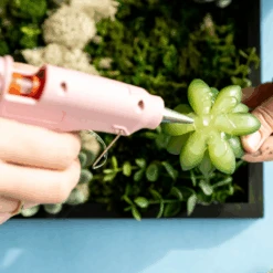 Moss Wall Kit -Eds Plant Shop moss wall kit 291479