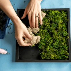 Moss Wall Kit -Eds Plant Shop moss wall kit 834087