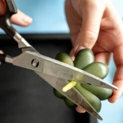 Moss Wall Kit -Eds Plant Shop moss wall kit 879831