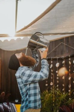 Nano Pitcher | Advanced Filtration Removes Bacteria & PFAS -Eds Plant Shop nano pitcher advanced filtration removes bacteria pfas 881598