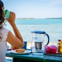 Nano Pitcher | Advanced Filtration Removes Bacteria & PFAS -Eds Plant Shop nano pitcher advanced filtration removes bacteria pfas 923534