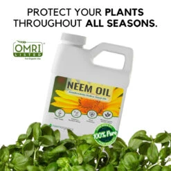 Neem Oil 16oz -Eds Plant Shop neem oil 16oz 550898
