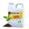 Neem Oil 16oz -Eds Plant Shop neem oil 16oz 932733