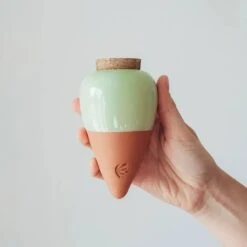 Olla Terracotta Self-Watering Pot | Efficient Plant Irrigation -Eds Plant Shop olla terracotta self watering pot efficient plant irrigation 262130