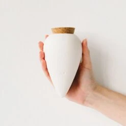 Olla Terracotta Self-Watering Pot | Efficient Plant Irrigation -Eds Plant Shop olla terracotta self watering pot efficient plant irrigation 522128