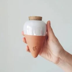 Olla Terracotta Self-Watering Pot | Efficient Plant Irrigation -Eds Plant Shop olla terracotta self watering pot efficient plant irrigation 617980