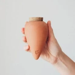 Olla Terracotta Self-Watering Pot | Efficient Plant Irrigation