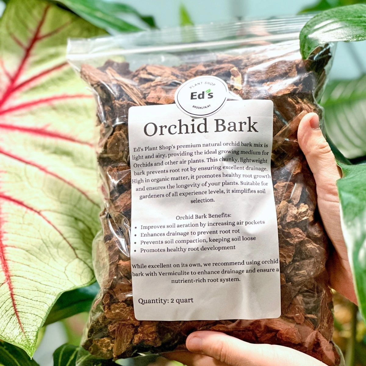 Orchid Bark: Lightweight Substrate For Orchids 4 Orchid Bark: Lightweight Substrate For Orchids - Image 2