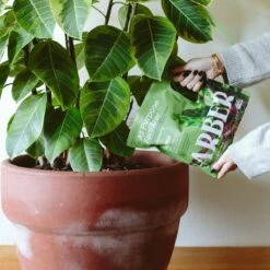 Organic All-Purpose Fertilizer – 3 Lbs | With Biochar For Lasting Results -Eds Plant Shop organic all purpose fertilizer 560760