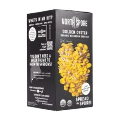 Organic Golden Oyster ‘Spray & Grow’ Mushroom Growing Kit -Eds Plant Shop organic golden oyster spray grow mushroom growing kit 198940